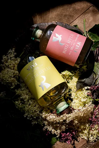 rød hyldeblomstlikør FALK Bornholm 