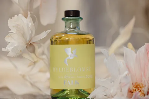 hyldeblomstlikøren fra FALK Bornholm