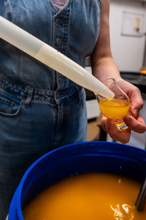 havtornsnapsen fra FALK Bornholm