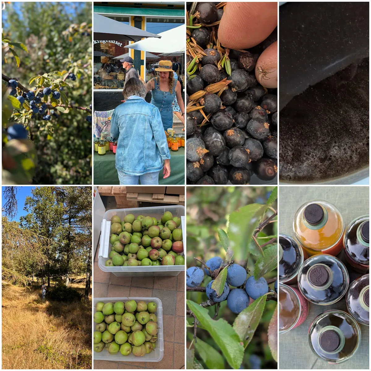 fotos fra instagram