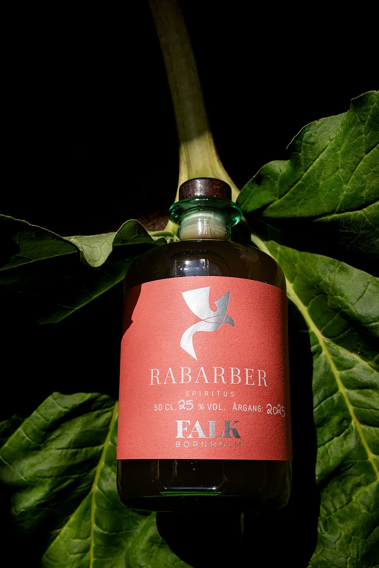 rabarberlikør