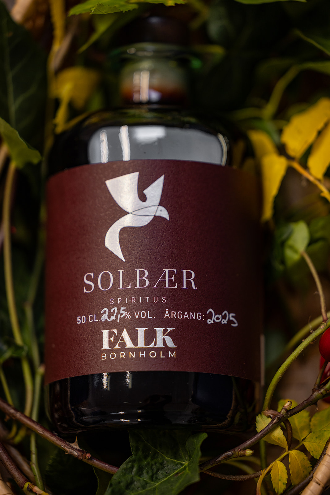 solbær likør fra FALK Bornholm