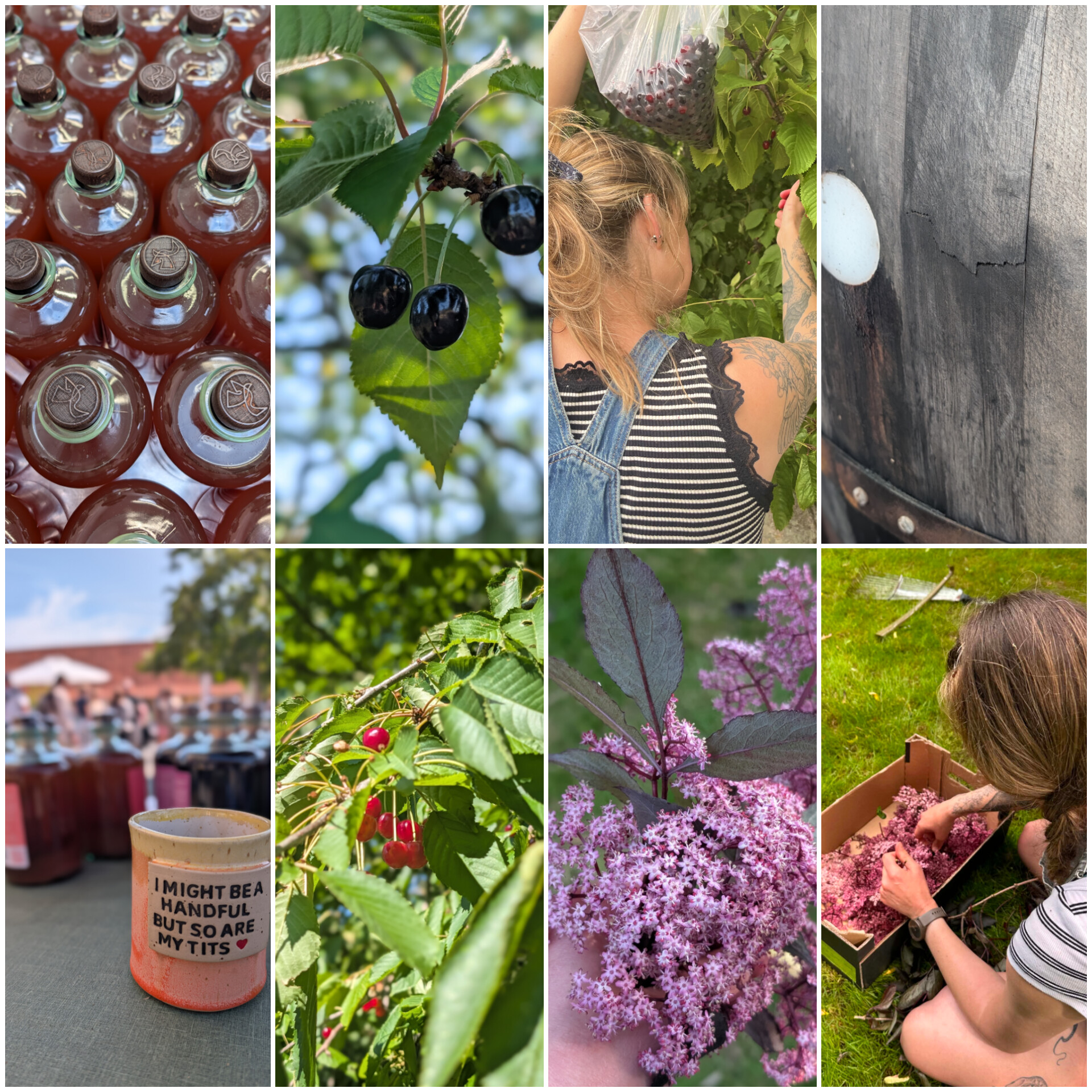 fotos fra instagram